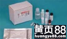 探索生命科學(xué)邊界 武漢市古泰生物技術(shù)有限責(zé)任公司主營(yíng)試劑、抗體與耗材業(yè)務(wù)解析
