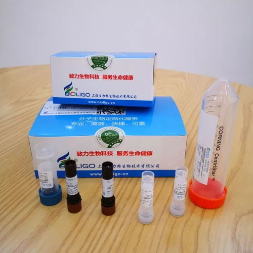 松江戰(zhàn)疫這十天 非臨床診斷用生物試劑背后的科技力量